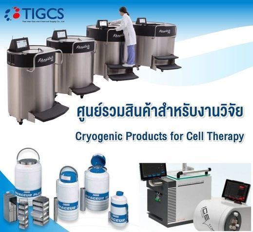 ศูนย์รวมสินค้าสำหรับงานวิจัย
Cryogenic Products for Cell Therapy